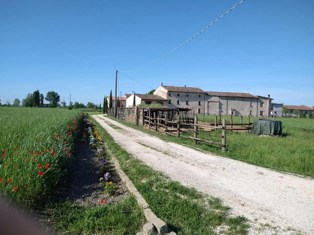 San Pietro LT app 3 Affittacamere Castel Goffredo Italia