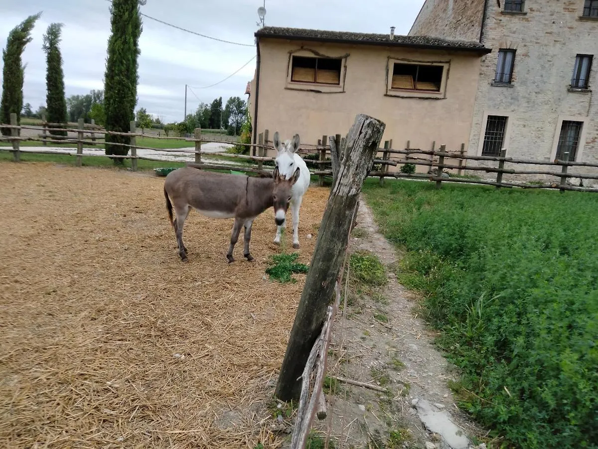 San Pietro LT app 3 Affittacamere Castel Goffredo Casa di campagna